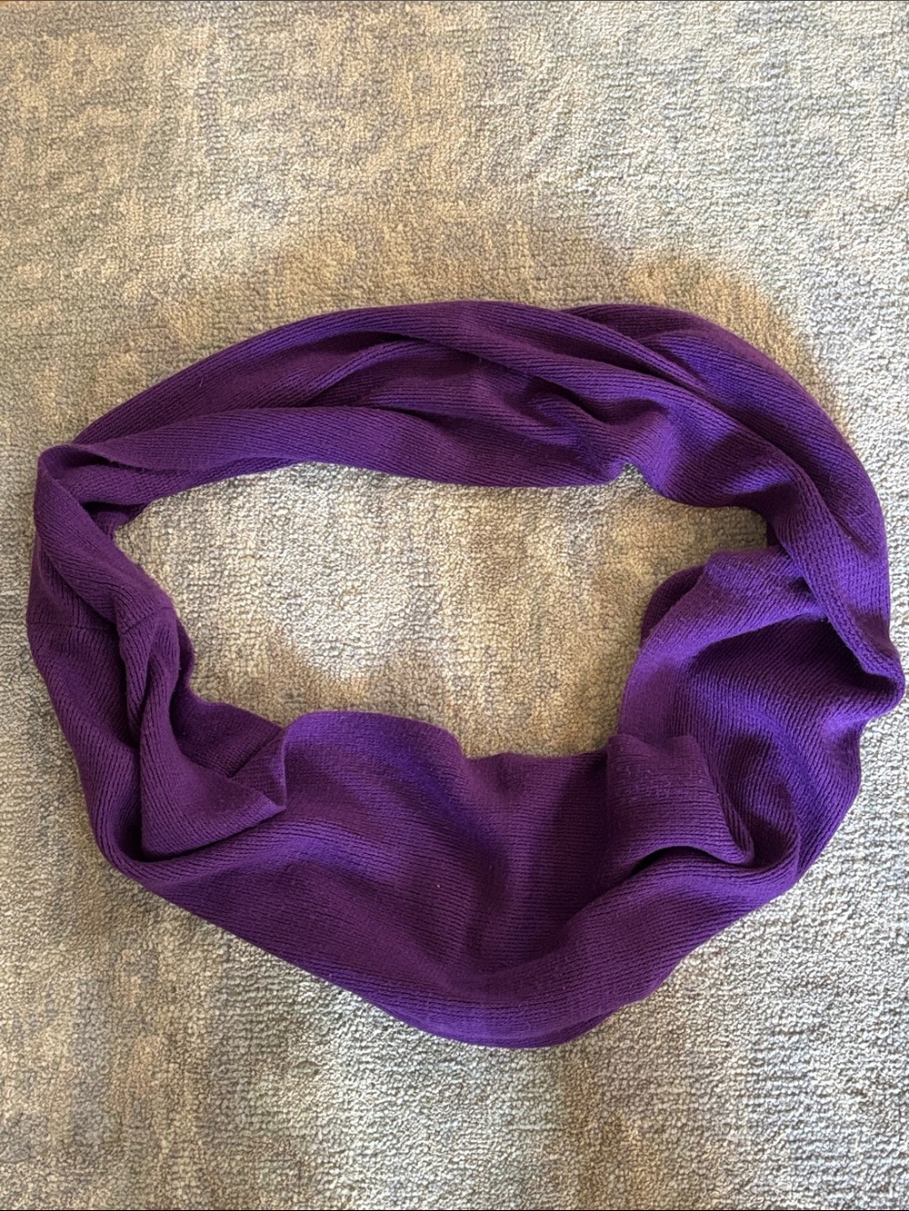 Echo Purple Infinity Loop Scarf